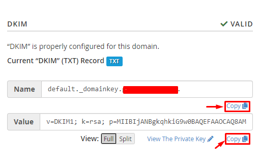 Copy DKIM Record